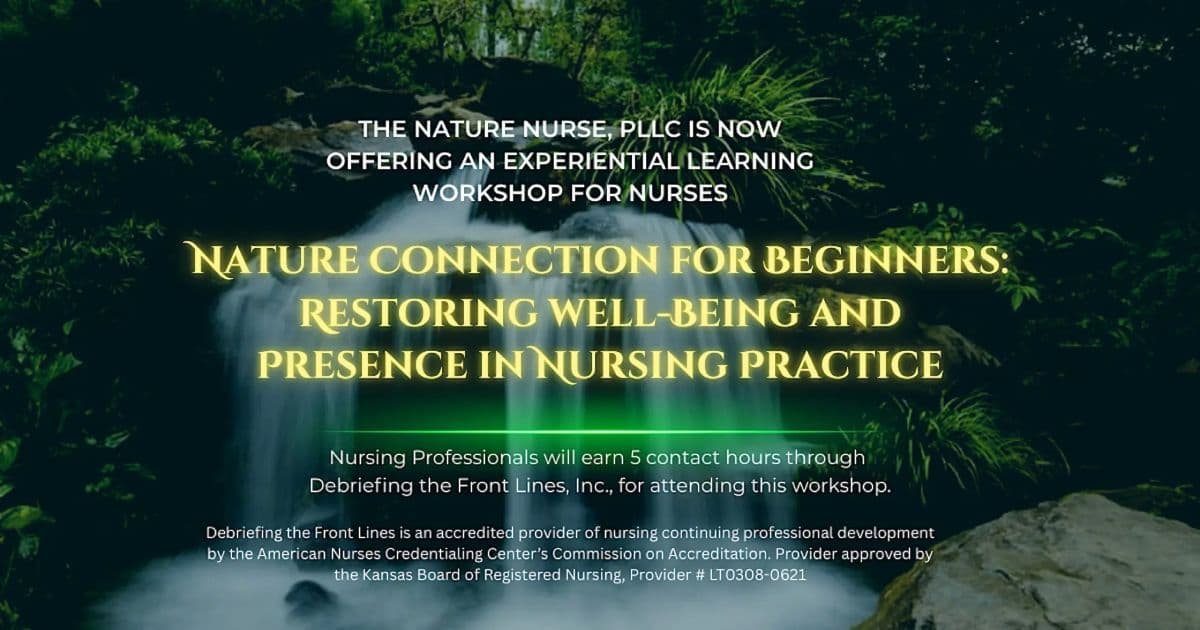 Nature Connection for Beginners workshop flyer with waterfall background for nurses seeking well-being and presence in nursing practice